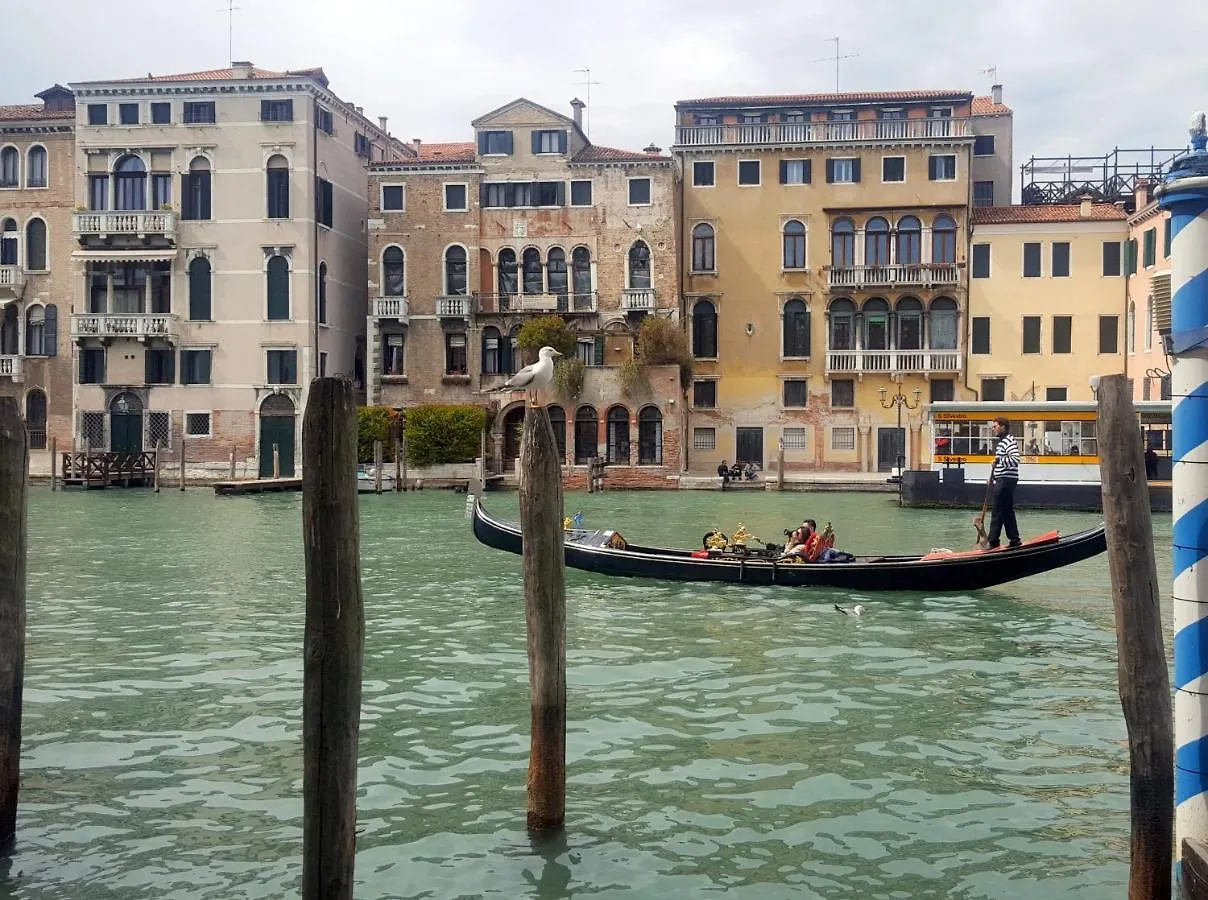 Wellvenice Grand Canal Daire